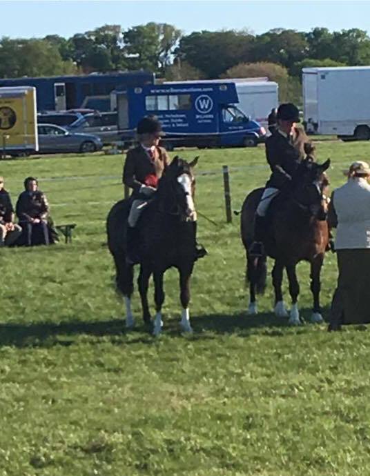 Fourjoys Flash Robin and Sarah Parker