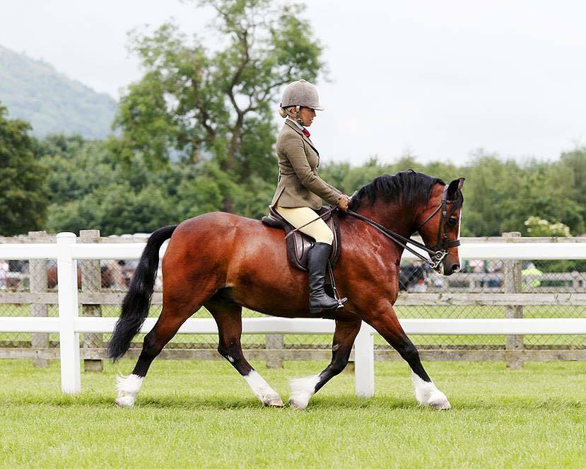 Pasadena Cruiser and Katy Marriott Payne