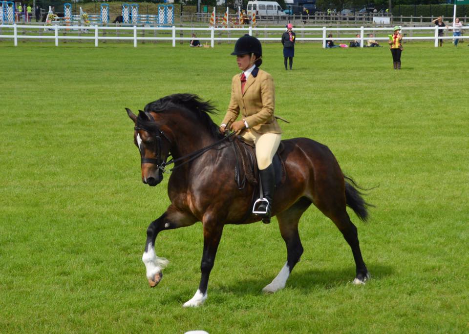 Taffechan Miss Moneypenny and Lauren Beaumont