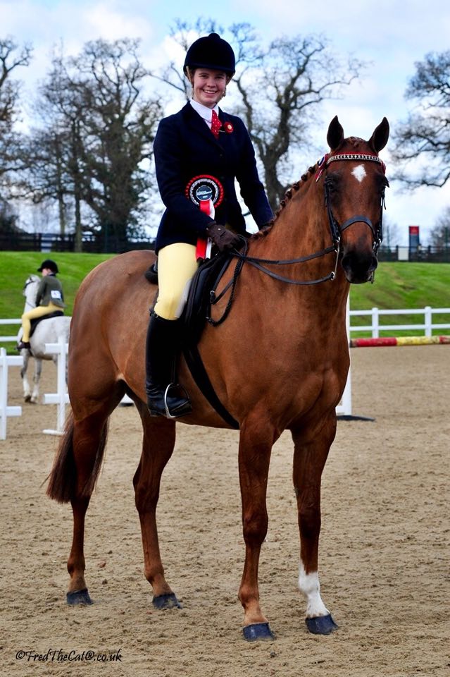 Anton Blue Rumba rider by Alice McCracken