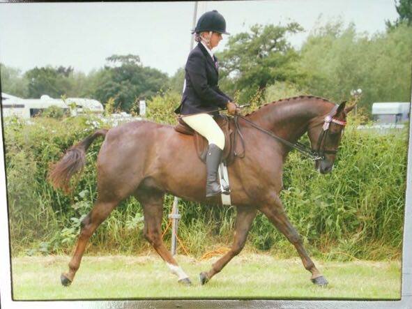Kendall Taylor riding Exhibitionist