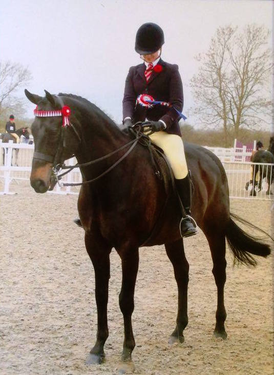 Tavillain ridden by Claudia Gale