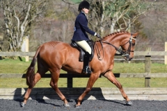 Huntroyd aurora Rider Anna Naomi