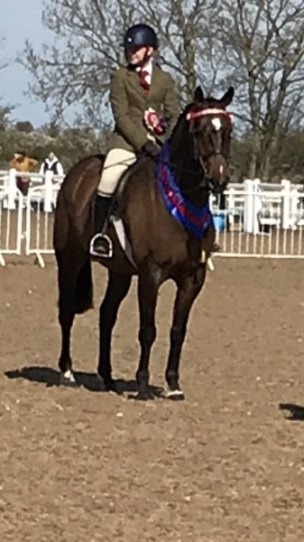 Glen-Allen-and-Greylands-Ace-High