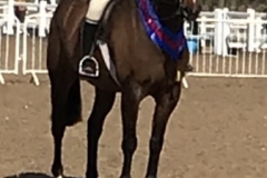 Glen-Allen-and-Greylands-Ace-High
