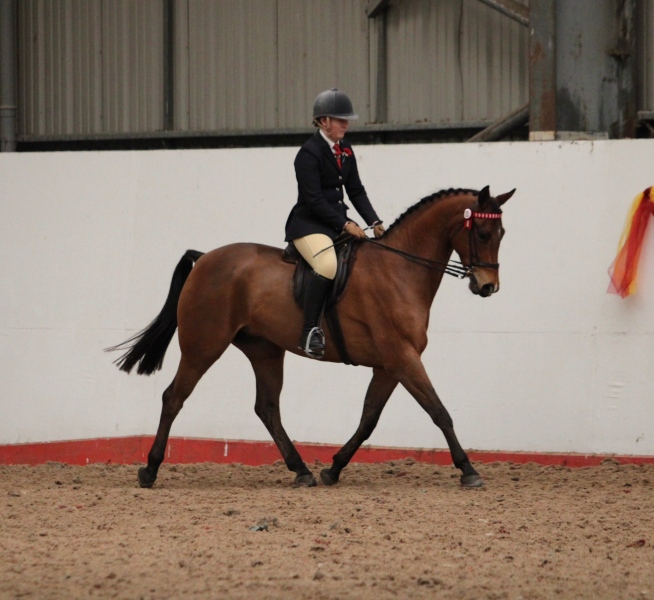 Ella-Dunn-and-West-Country-Samurai