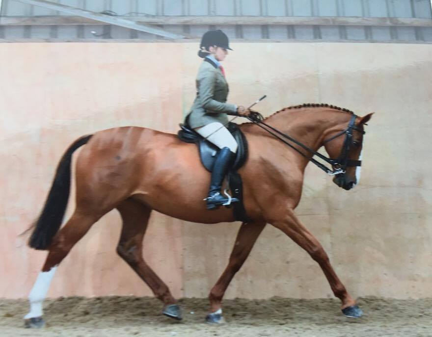 Blossom Hill and Olivia Commins