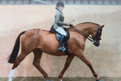 Blossom Hill and Olivia Commins