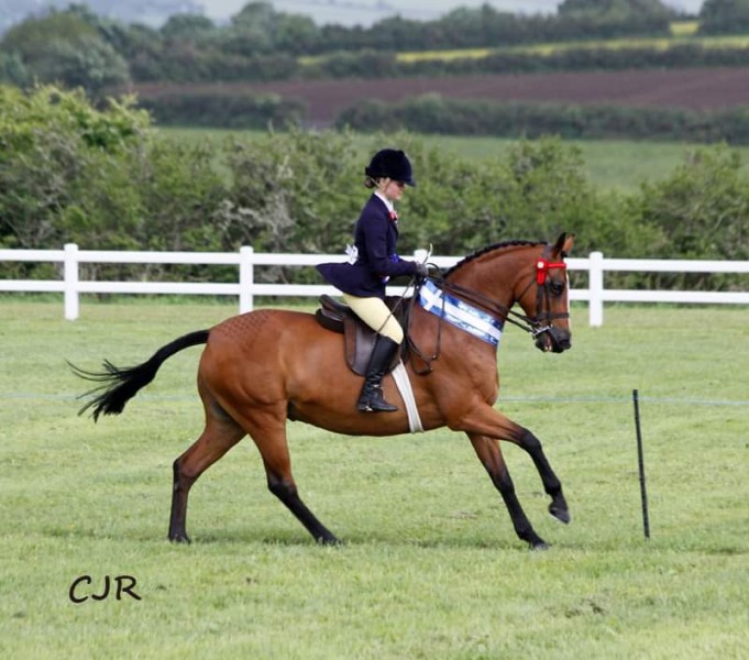 Hollie-Ennor-and-Chycoose-Park-Royal