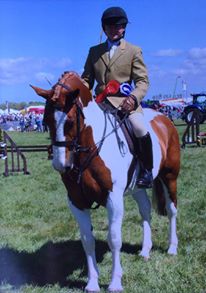 William Pittendrigh and Constellation
