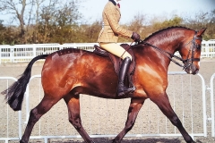 Brindlebrook little scoundrel and Mia brown