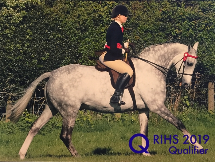 Bronte Hatton Ritchie and Holly creek sir benson