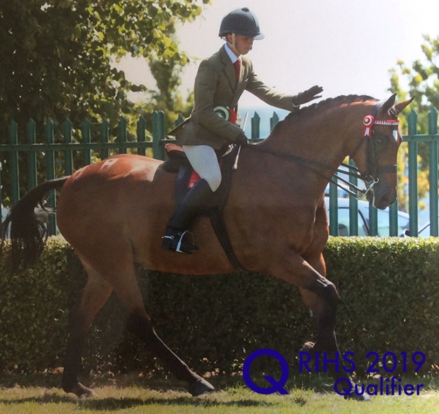 Glen Allen and Helsington Tailor Made copy