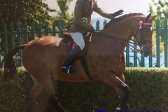 Glen Allen and Helsington Tailor Made copy
