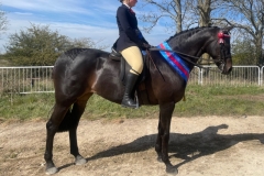 Daisy-Darby-and-Bankswood-Savoir-Faire