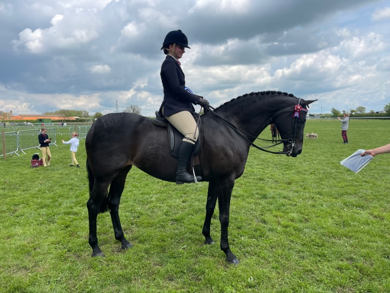 Daisy-Darby-and-Bankswood-Savoir-Faire-