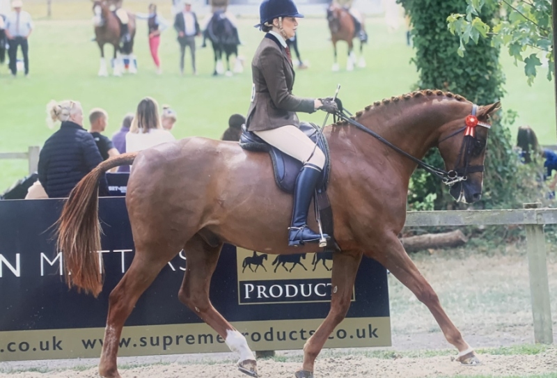 Rebecca-Anders-and-Prestwood-Royal-Appointment-