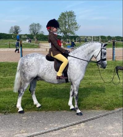 Lulu-Cook-and-Ronswood-Silver-Fox