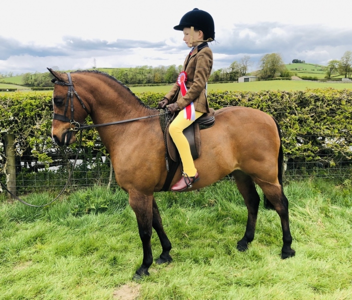 Oliver-Burdess-and-Rosedale-Mr-Prospector
