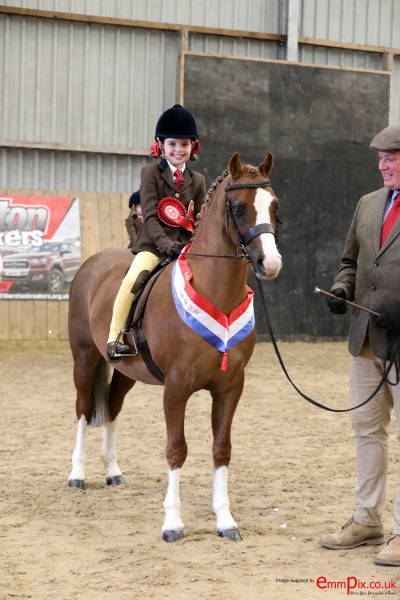 Evie-Walsh-and-Annandale-Rebel-Rebel