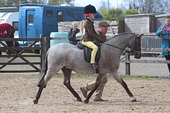 The North Of England Spring Show