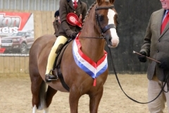 Evie-Walsh-and-Annandale-Rebel-Rebel
