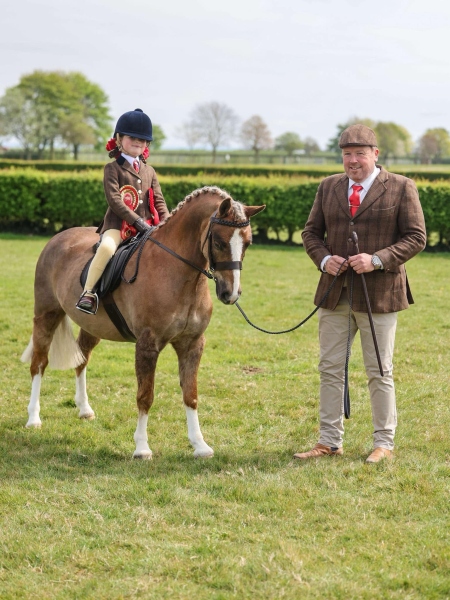 Elspeth-Tandy-Horse_Pony-Heniarth-Gloucester
