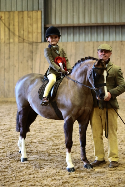 Lewis-Cousins-Horse_Pony-Annandale-Line-of-Fire