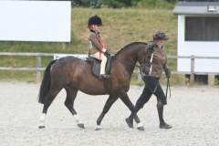 Jessie-Davies-Horse_Pony-Fronarth-Harri