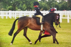 Pippa-Jackson-and-Chaseford-Camelia-