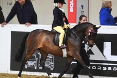 Myia-Latto-and-Chaseford-Camelia