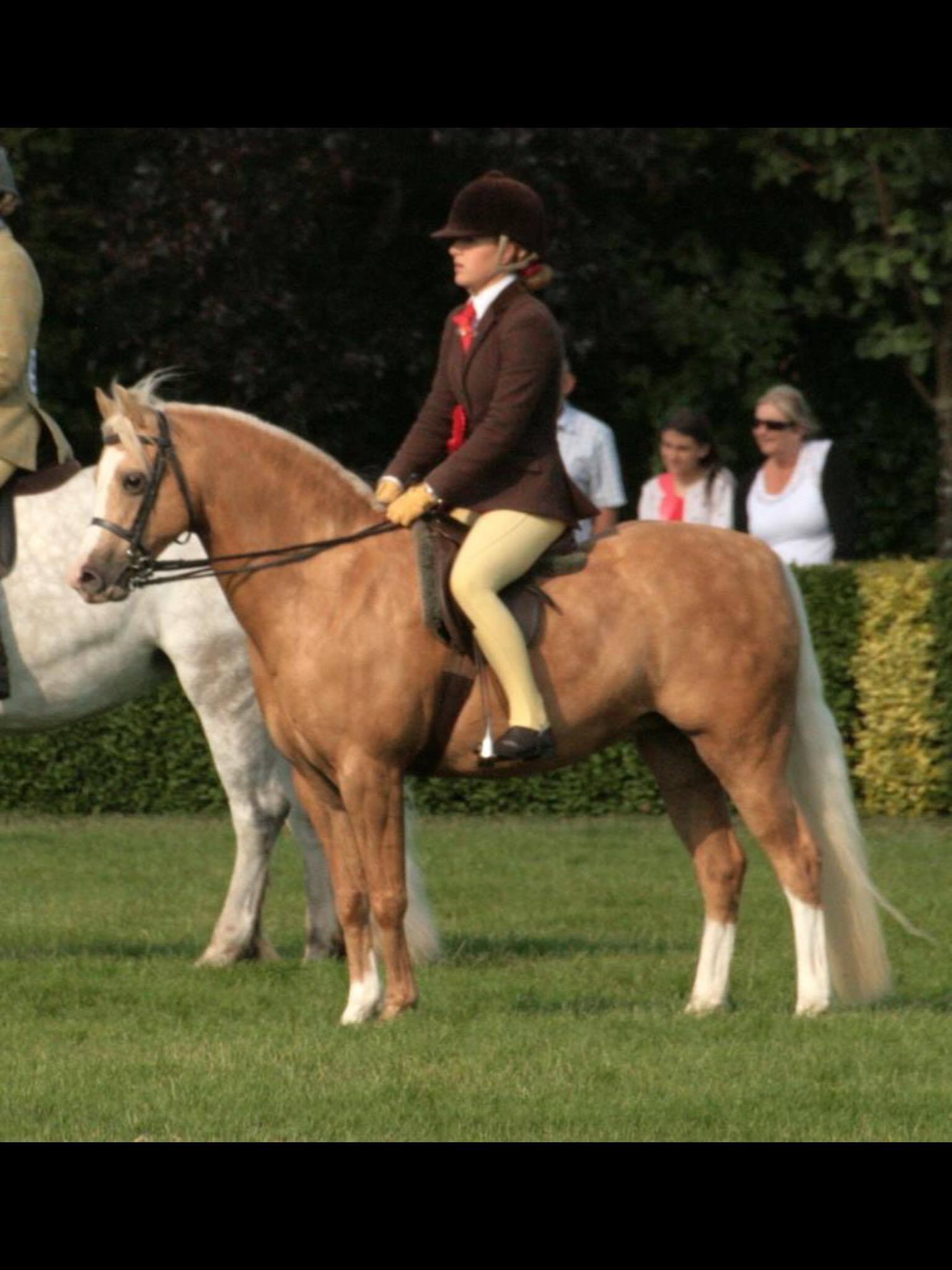 Rowen Hilton and Milford fair breeze