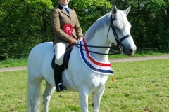 Olivia Rocks and Emlagharan Ceolaire
