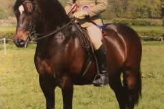 Richard Stephenson and Meldore Tywysog