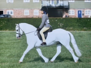 Bluebell-and-Crumpwell-Finella
