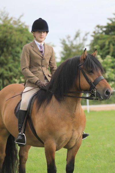 Oliver-Bradshaw-Horse-Pony-Lochlands-Lord-Byron