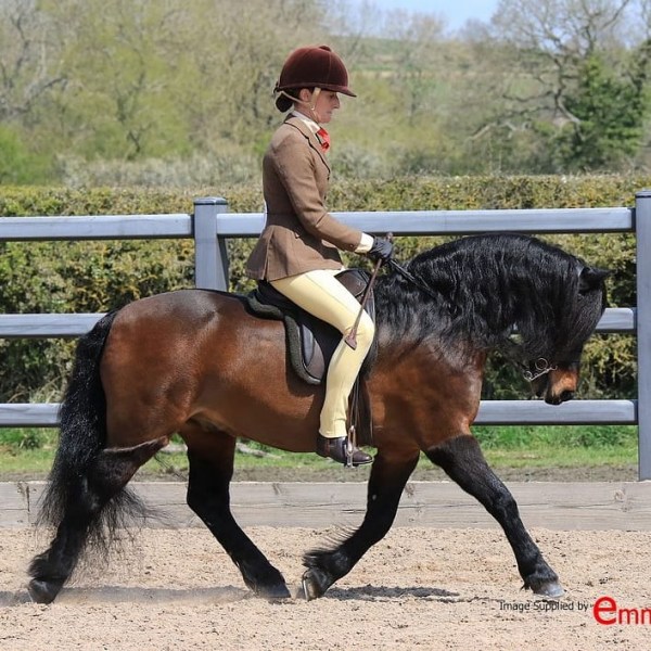 Zara-johnstone-Evans-and-Pumphill-fandango