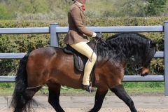 Zara-johnstone-Evans-and-Pumphill-fandango