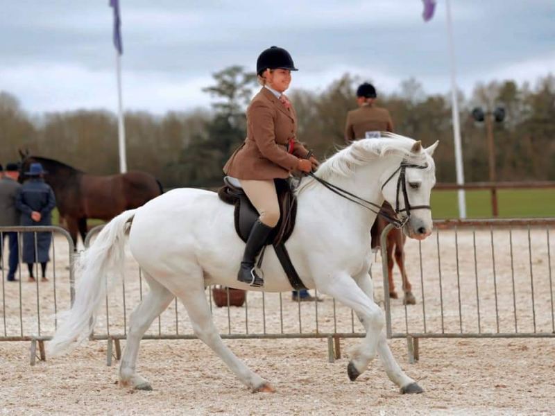 Olivia-Rocks-and-Ower-Glenlo-Boy