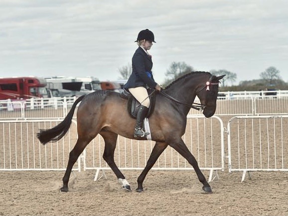 Olivia-Rocks-and-Sir-Control