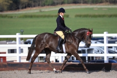 Sophie-Cartmell-and-Stanley-Grange-Regal-Consort