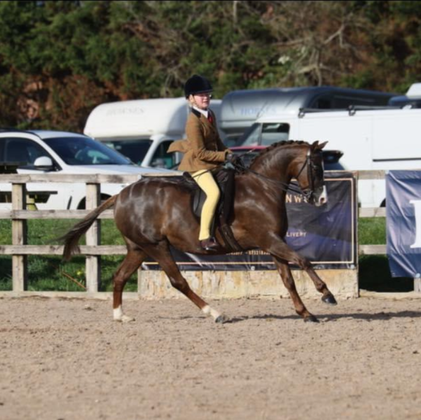 brogan-douglas-jones-and-Annandale-Royal-Jubilation