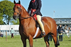Aiva Dickie and Greenbarrow Picture Perfect