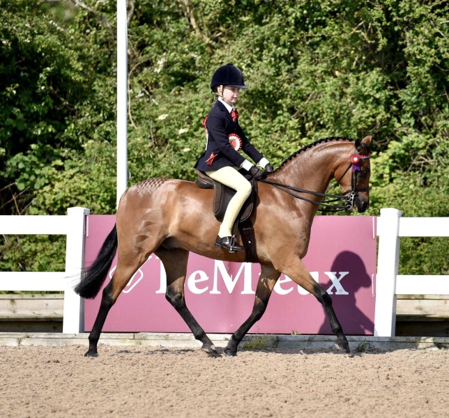 Tilly-Richards-and-Broadgrove-Dimension