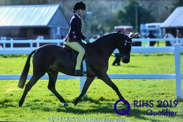 Tori Dymond and Holnicote Chatterbox