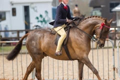 Harriett-Storey-and-Copybush-Timelord