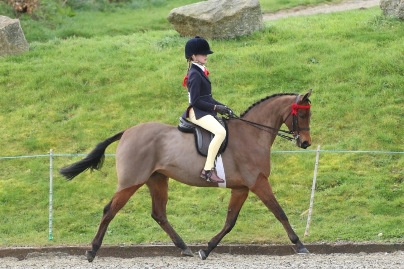 Ruby-Diffey-and-Brookvale-Lady-Grantham