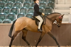 Cerys-Holley-and-Next-chapter
