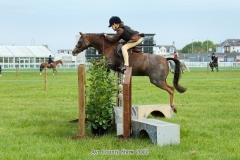 Lexie-Lane-and-Derrymore-Lucky-Lad