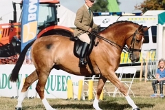Karl standing and Golden inca cross